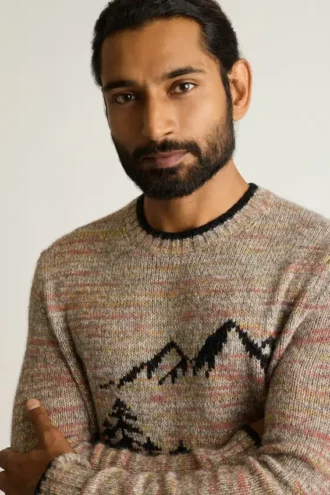 Bear Stroll Pullover
