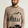 Bear Stroll Pullover Bear Stroll Pullover