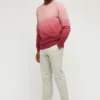 Gebürstetes Fleece mit Rundhalsausschnitt Gebürstetes Fleece mit Rundhalsausschnitt