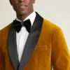 Jetsetter Blazer aus italienischem Samt