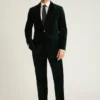 Jetsetter Blazer aus italienischem Samt